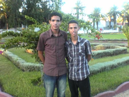 c moa et ilias sadam
